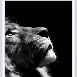 Meet your Posher, Teresa