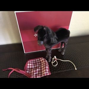 American Girl Felicity's Foal, Patriot