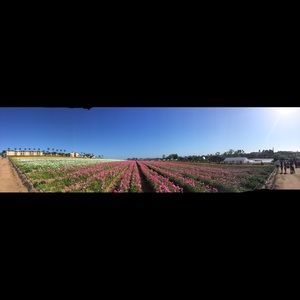 Meet your Posher, Jacqueline