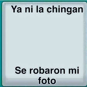 Meet your Posher, Edgardo