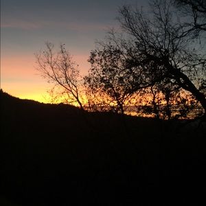 Meet your Posher, Robyn