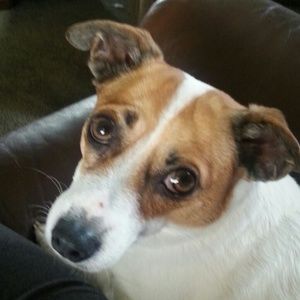 Meet your Posher, Misty