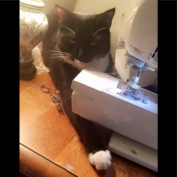 Meet your Posher, Sara - Picture 5 of 5