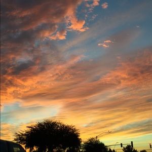 Meet your Posher, Audrey