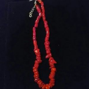Rare natural Colorado coral