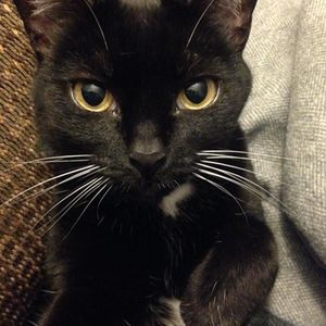 Meet your Posher, Melissa