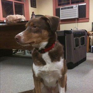 Meet your Posher, Dave