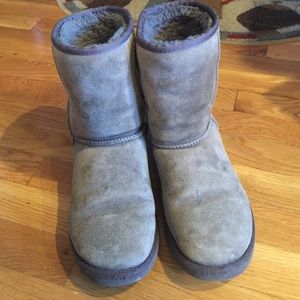 Classic short gray uggs