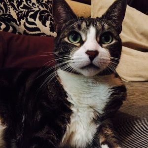 Meet your Posher, Rebecca