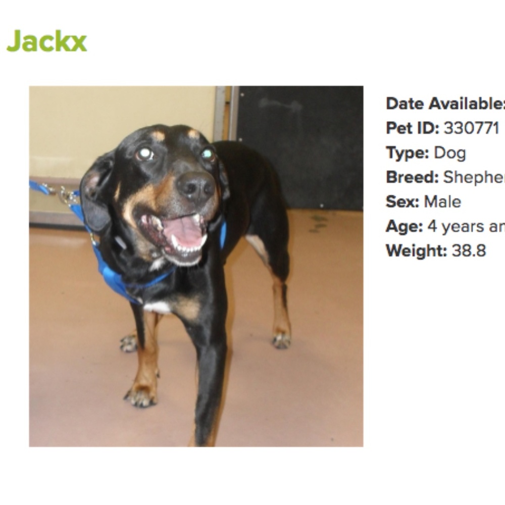 . Adopt N' Posh - Picture 4 of 8