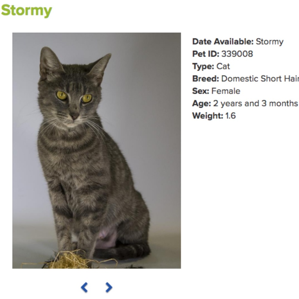 . Adopt N' Posh - Picture 3 of 8