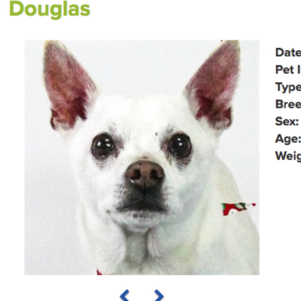 . Adopt N' Posh - Picture 2 of 8