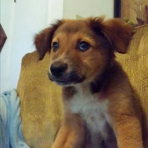 Meet your Posher, Seth