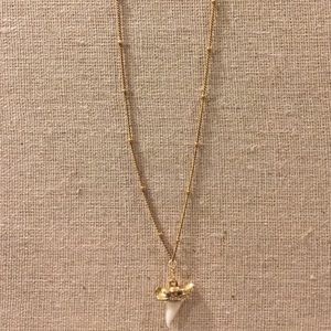18" Gold Shark Tooth Necklace