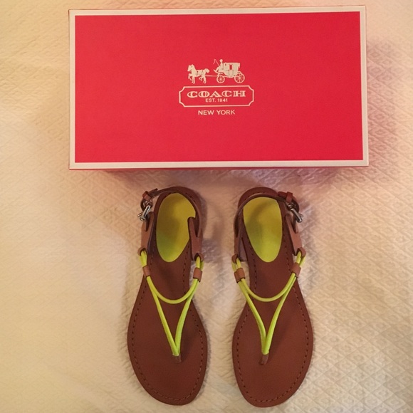 :: Coach sandals ::
