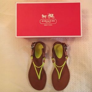 :: Coach sandals ::