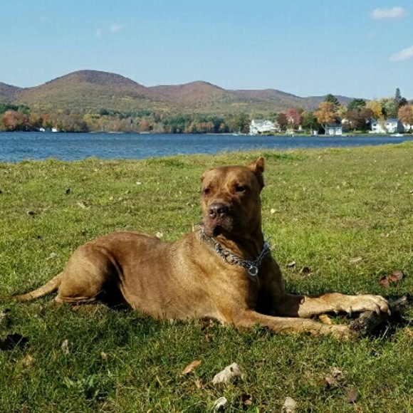 One of my Loves - Picture 1 of 1