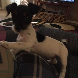 Meet your Posher, Nanette