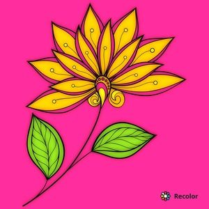 Meet your Posher, Alison