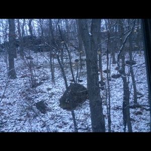 Meet your Posher, Leandrea