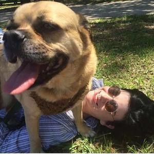 Meet your Posher, Sydney