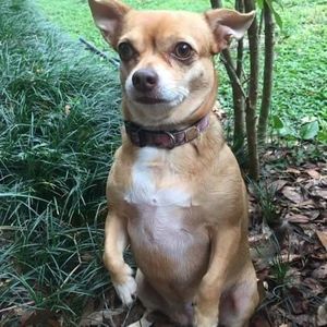 Meet your Posher, Sandra