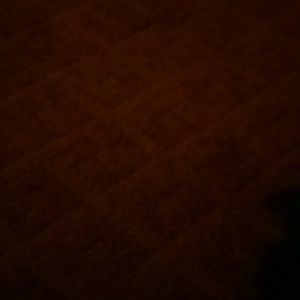 Meet your Posher, Leon