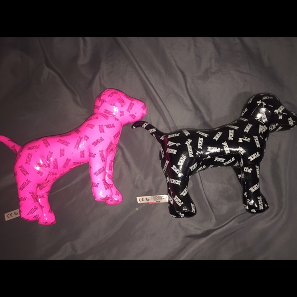 two vs pink dogs