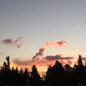 Meet your Posher, Eva