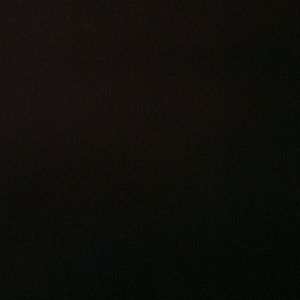 Meet your Posher, Landon