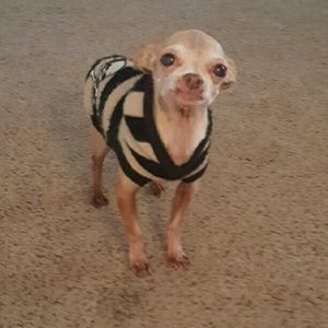 Meet your Posher, Melissa