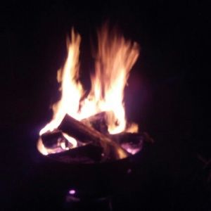 Meet your Posher, Tabatha