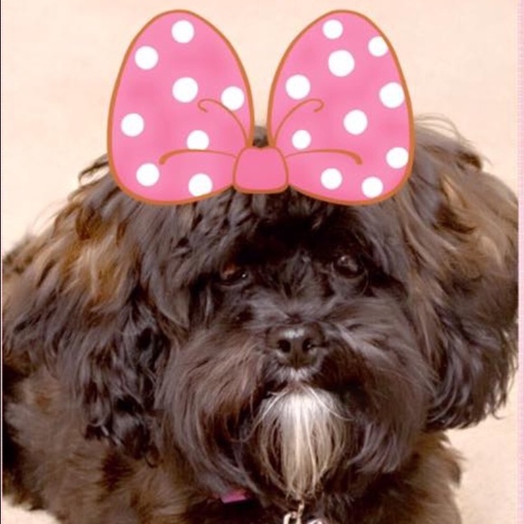 My cupcake 🐩🎀🎂 - Picture 2 of 2