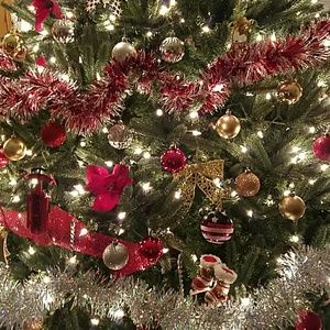 Meet your Posher, Tanya