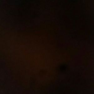 Meet your Posher, Nadia