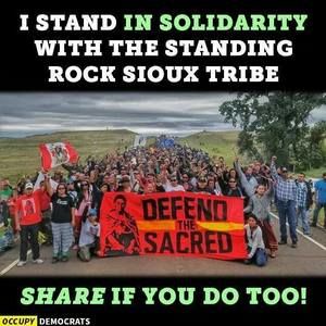 Meet your Posher, Deana lee