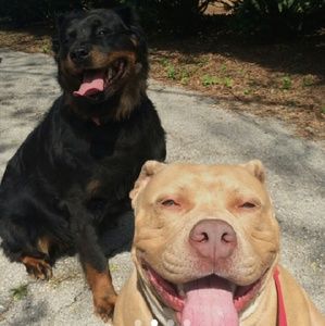 Meet your Posher, Jaden