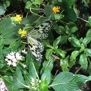 Meet your Posher, Melinda