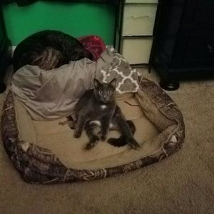 Meet your Posher, Jess