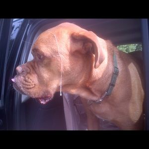 Meet your Posher, Jeff