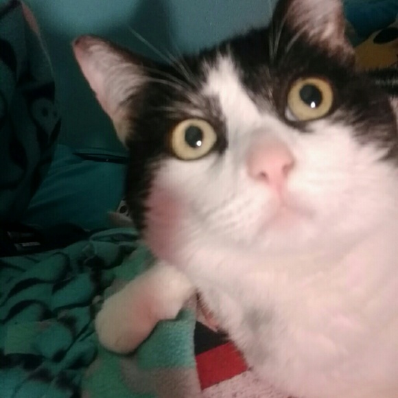 Meet me! - Picture 2 of 4