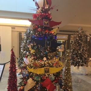 Meet your Posher, Yangzixuan