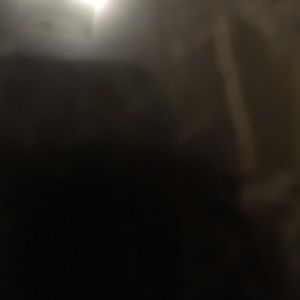 Meet your Posher, Mathew