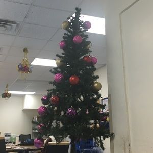 Meet your Posher, Jonah