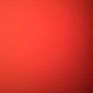 Meet your Posher, Dalton