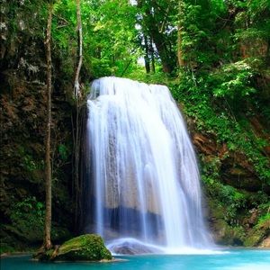 Meet your Posher, Shane