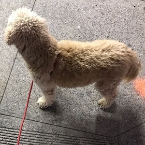 Meet your Posher, Lukasz