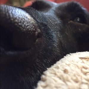 Meet your Posher, Sonja