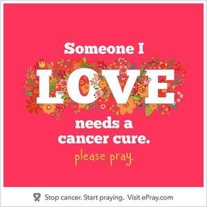 Meet your Posher, Tasha