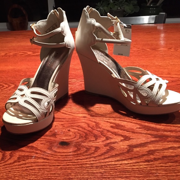 Brand New Platforms